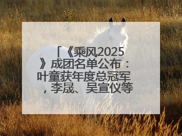 《乘风2025》成团名单公布：叶童获年度总冠军，李晟、吴宣仪等10位姐姐成功成团，陈德容获年度高光人物