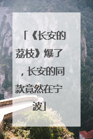 《长安的荔枝》爆了，长安的同款竟然在宁波