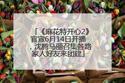 《麻花特开心2》官宣6月14日开播，沈腾马丽召集各路家人好友来团建