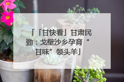 「甘快看」甘肃民勤：戈壁沙乡孕育“甘味”领头羊