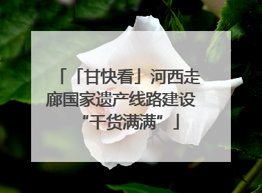 「甘快看」河西走廊国家遗产线路建设“干货满满”