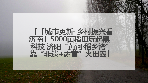 「城市更新· 乡村振兴看济南」5000亩稻田玩起黑科技 济阳“黄河·稻乡湾”靠“非遗+露营”火出圈