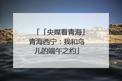 「央媒看青海」青海西宁：我和鸟儿的端午之约