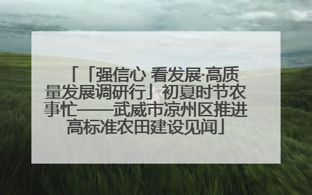 「强信心 看发展·高质量发展调研行」初夏时节农事忙——武威市凉州区推进高标准农田建设见闻