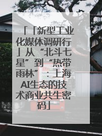 「新型工业化媒体调研行」从“北斗七星”到“热带雨林”：上海AI生态的技术商业共生密码