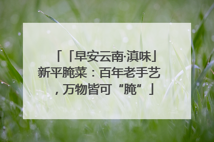 「早安云南·滇味」新平腌菜：百年老手艺，万物皆可“腌”