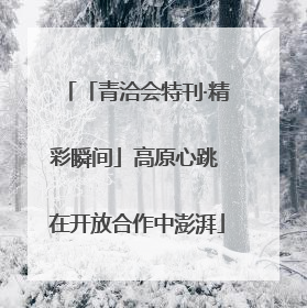 「青洽会特刊·精彩瞬间」高原心跳 在开放合作中澎湃