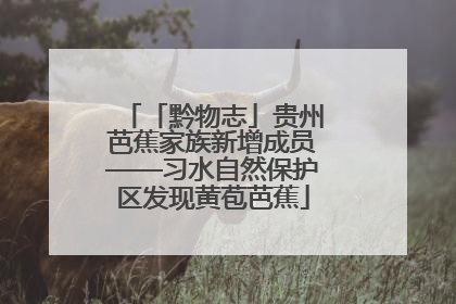 「黔物志」贵州芭蕉家族新增成员——习水自然保护区发现黄苞芭蕉