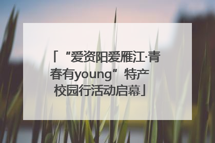 “爱资阳爱雁江·青春有young”特产校园行活动启幕
