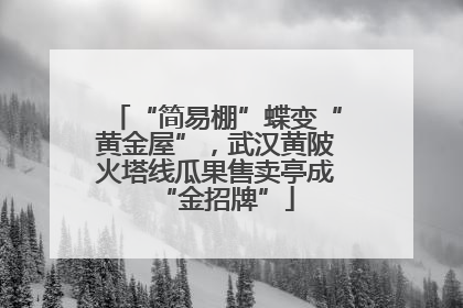 “简易棚”蝶变“黄金屋”，武汉黄陂火塔线瓜果售卖亭成“金招牌”