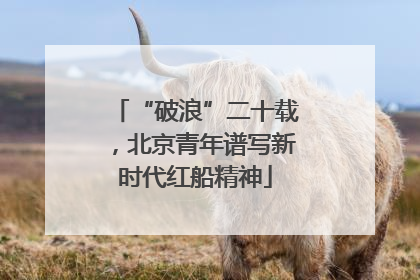 “破浪”二十载，北京青年谱写新时代红船精神
