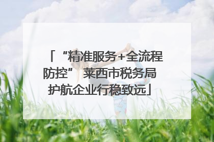 “精准服务+全流程防控” 莱西市税务局护航企业行稳致远