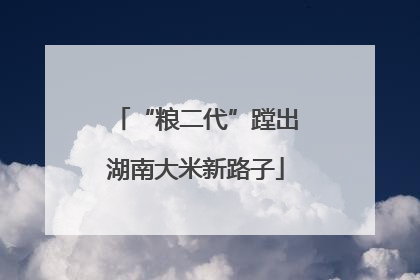 “粮二代”蹚出湖南大米新路子