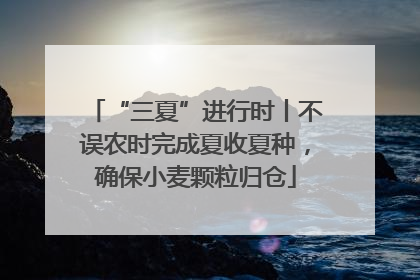 “三夏”进行时丨不误农时完成夏收夏种，确保小麦颗粒归仓