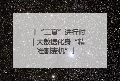 “三夏”进行时｜大数据化身“精准割麦机”