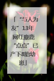 “与人为友”13年 网红麋鹿“点点”已产下8胎幼崽