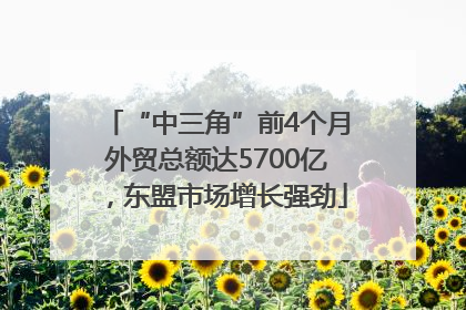 “中三角”前4个月外贸总额达5700亿，东盟市场增长强劲