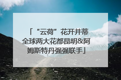 “云荷”花开并蒂 全球两大花都昆明&阿姆斯特丹强强联手
