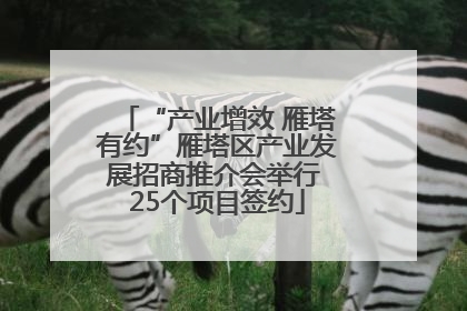 “产业增效 雁塔有约”雁塔区产业发展招商推介会举行 25个项目签约