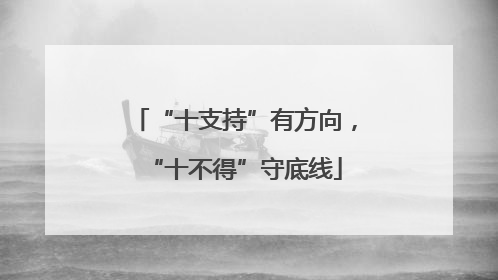 “十支持”有方向，“十不得”守底线