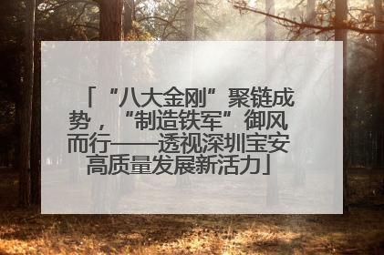 “八大金刚”聚链成势，“制造铁军”御风而行——透视深圳宝安高质量发展新活力