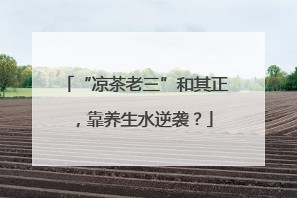 “凉茶老三”和其正，靠养生水逆袭？