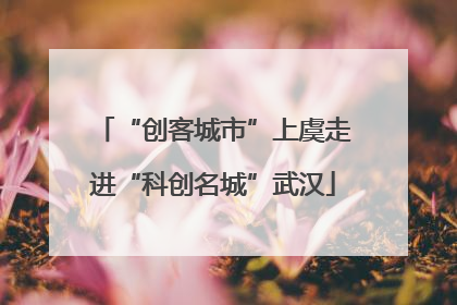 “创客城市”上虞走进“科创名城”武汉