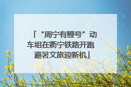 “周宁有鲤号”动车组在衢宁铁路开跑 避暑文旅迎新机