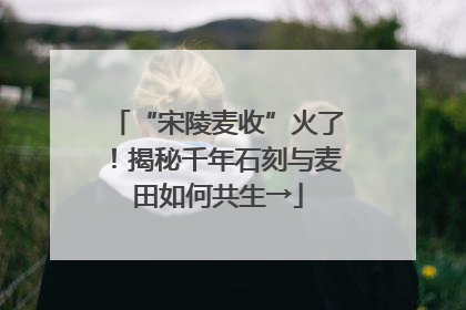 “宋陵麦收”火了！揭秘千年石刻与麦田如何共生→
