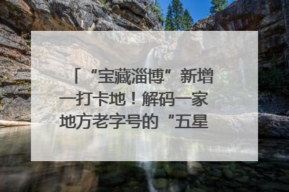 “宝藏淄博”新增一打卡地！解码一家地方老字号的“五星级”破局之路
