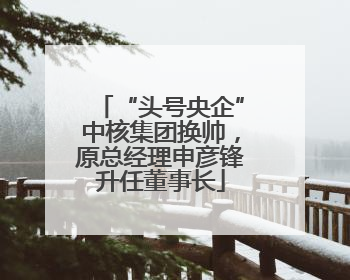 “头号央企”中核集团换帅，原总经理申彦锋升任董事长