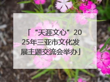 “天涯文心”2025年三亚市文化发展主题交流会举办