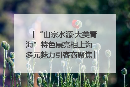 “山宗水源·大美青海”特色展亮相上海 多元魅力引客商聚焦