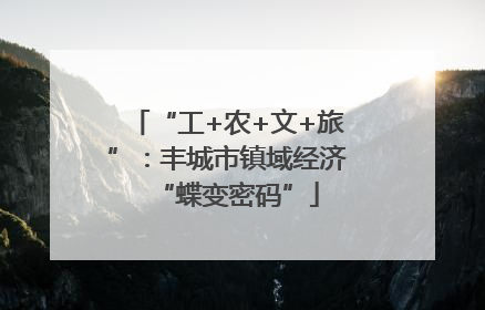 “工+农+文+旅”：丰城市镇域经济“蝶变密码”