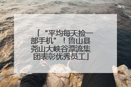 “平均每天捡一部手机”！鲁山县尧山大峡谷漂流集团表彰优秀员工