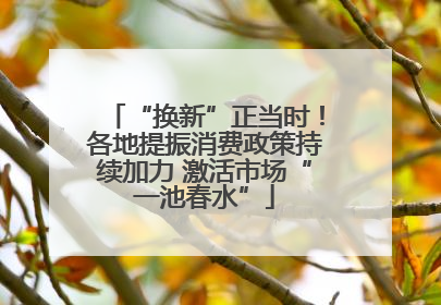 “换新”正当时！各地提振消费政策持续加力 激活市场“一池春水”
