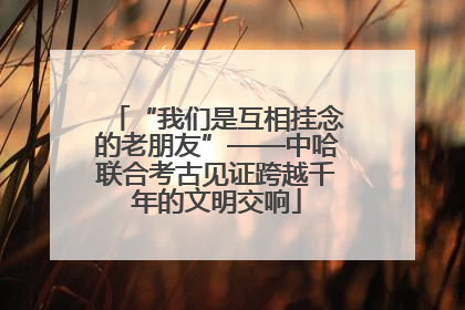 “我们是互相挂念的老朋友”——中哈联合考古见证跨越千年的文明交响