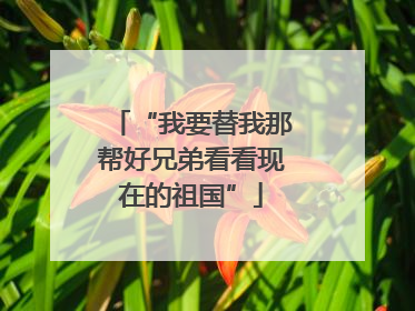“我要替我那帮好兄弟看看现在的祖国”