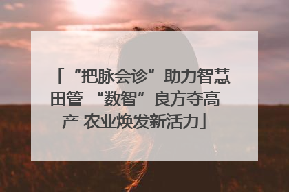 “把脉会诊”助力智慧田管 “数智”良方夺高产 农业焕发新活力