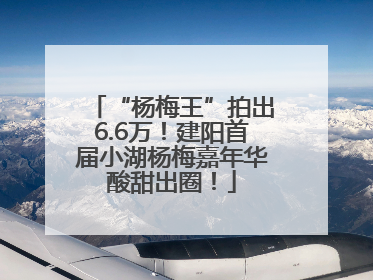 “杨梅王”拍出6.6万！建阳首届小湖杨梅嘉年华酸甜出圈！