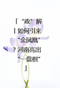 “政”解丨如何引来“金凤凰”？河南亮出“一盘棋”