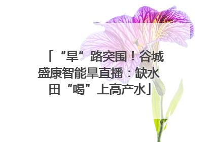 “旱”路突围！谷城盛康智能旱直播：缺水田“喝”上高产水