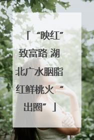 “映红”致富路 湖北广水胭脂红鲜桃火“出圈”