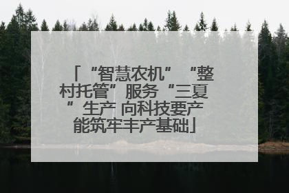 “智慧农机”“整村托管”服务“三夏”生产 向科技要产能筑牢丰产基础