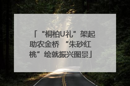 “桐柏U礼”架起助农金桥 “朱砂红桃”绘就振兴图景