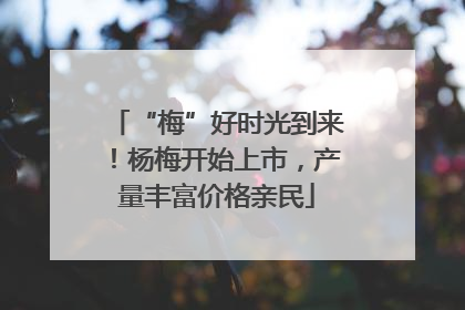 “梅”好时光到来！杨梅开始上市，产量丰富价格亲民