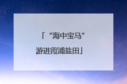 “海中宝马”游进霞浦盐田
