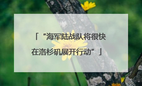 “海军陆战队将很快在洛杉矶展开行动”