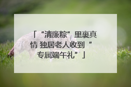 “清廉粽”里裹真情 独居老人收到“专属端午礼”
