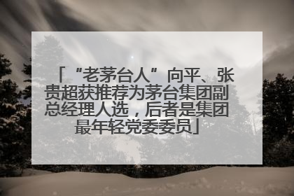 “老茅台人”向平、张贵超获推荐为茅台集团副总经理人选，后者是集团最年轻党委委员